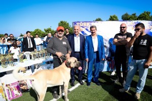 Türk Çoban Köpekleri Ümraniye'de Yarıştı