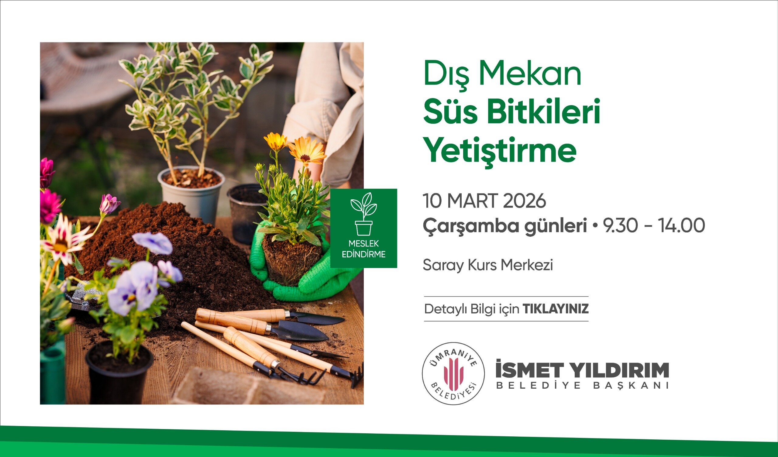 WhatsApp Image 2026-03-05 at 10.41.16 (1)