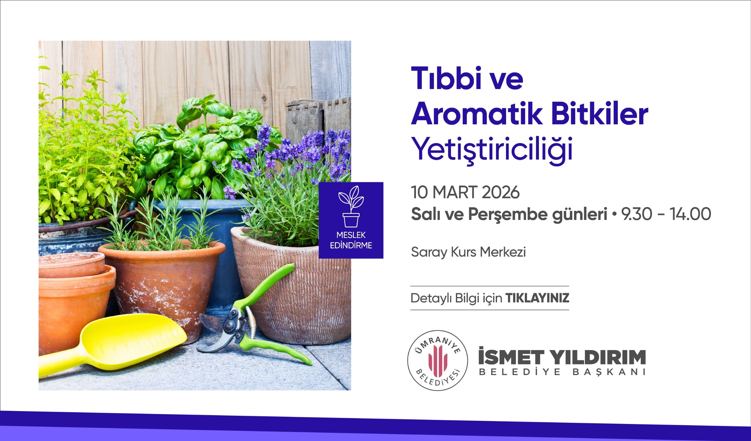 WhatsApp Image 2026-03-05 at 10.41.17